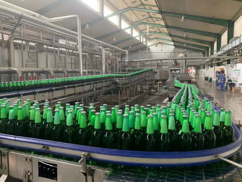 一表集成、自動計算 上海17稅費種綜合申報賦能企業(yè)智慧辦稅